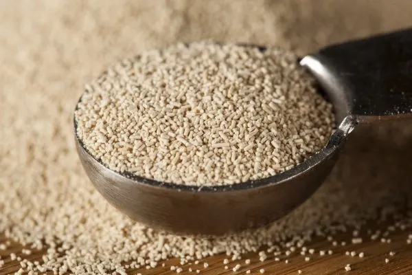 winemaking yeast