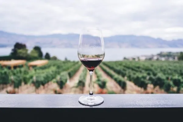 best pinot noir wine making kits