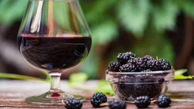 blackberry wine recipe