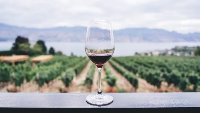 best pinot noir wine making kits