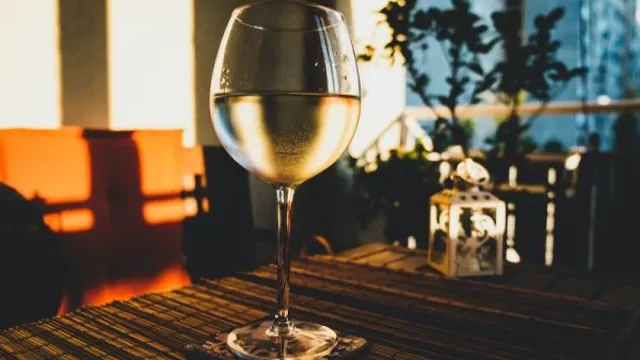 Best Sauvignon Blanc Wine Making Kits