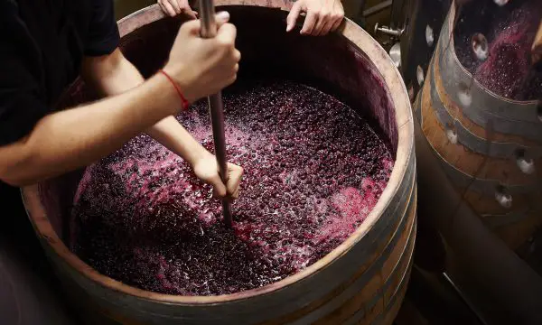 Beginners Guide to Home Winemaking