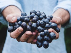 blueberry wine recipe