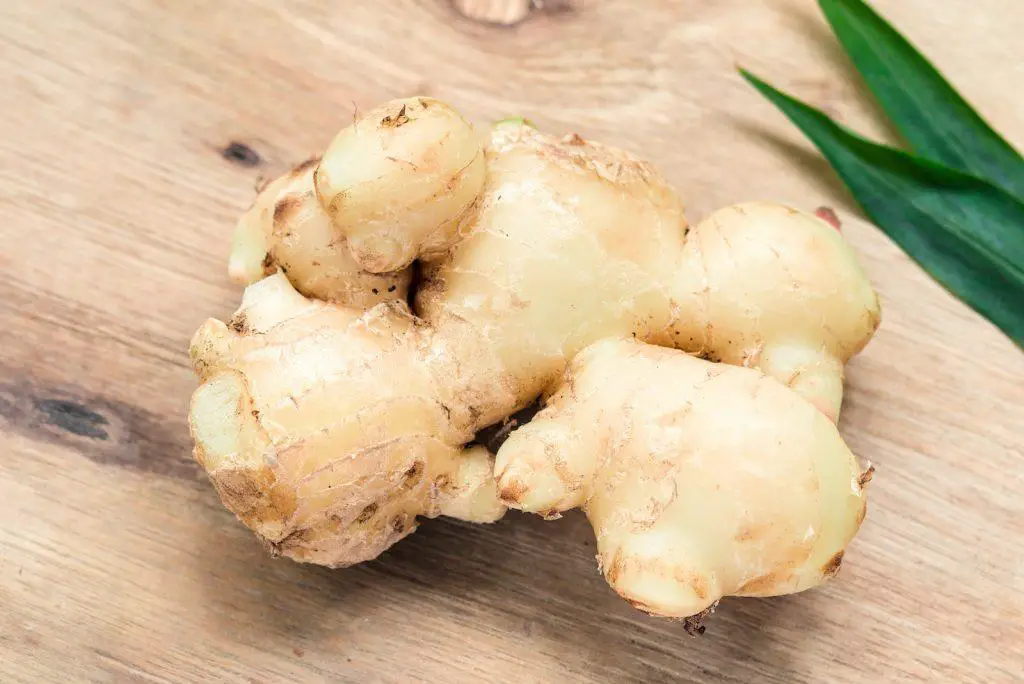 ginger root for wine