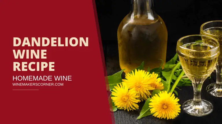 dandelion wine recipe
