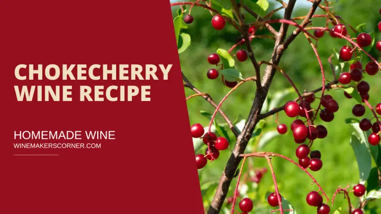 chokecherry wine recipe