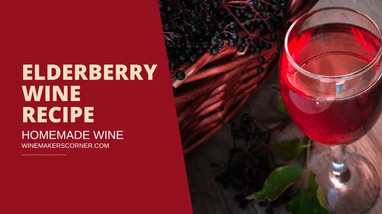 elderberry wine recipe
