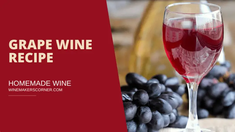 grape wine recipe