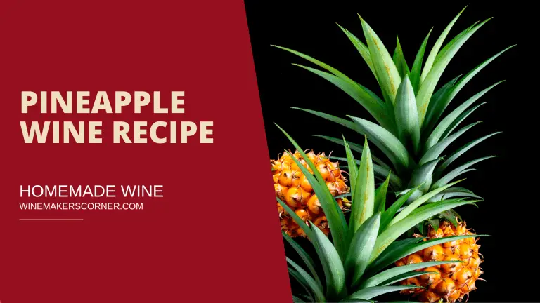 pineapple wine recipe